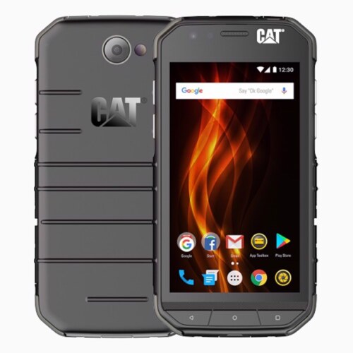 Cat S31